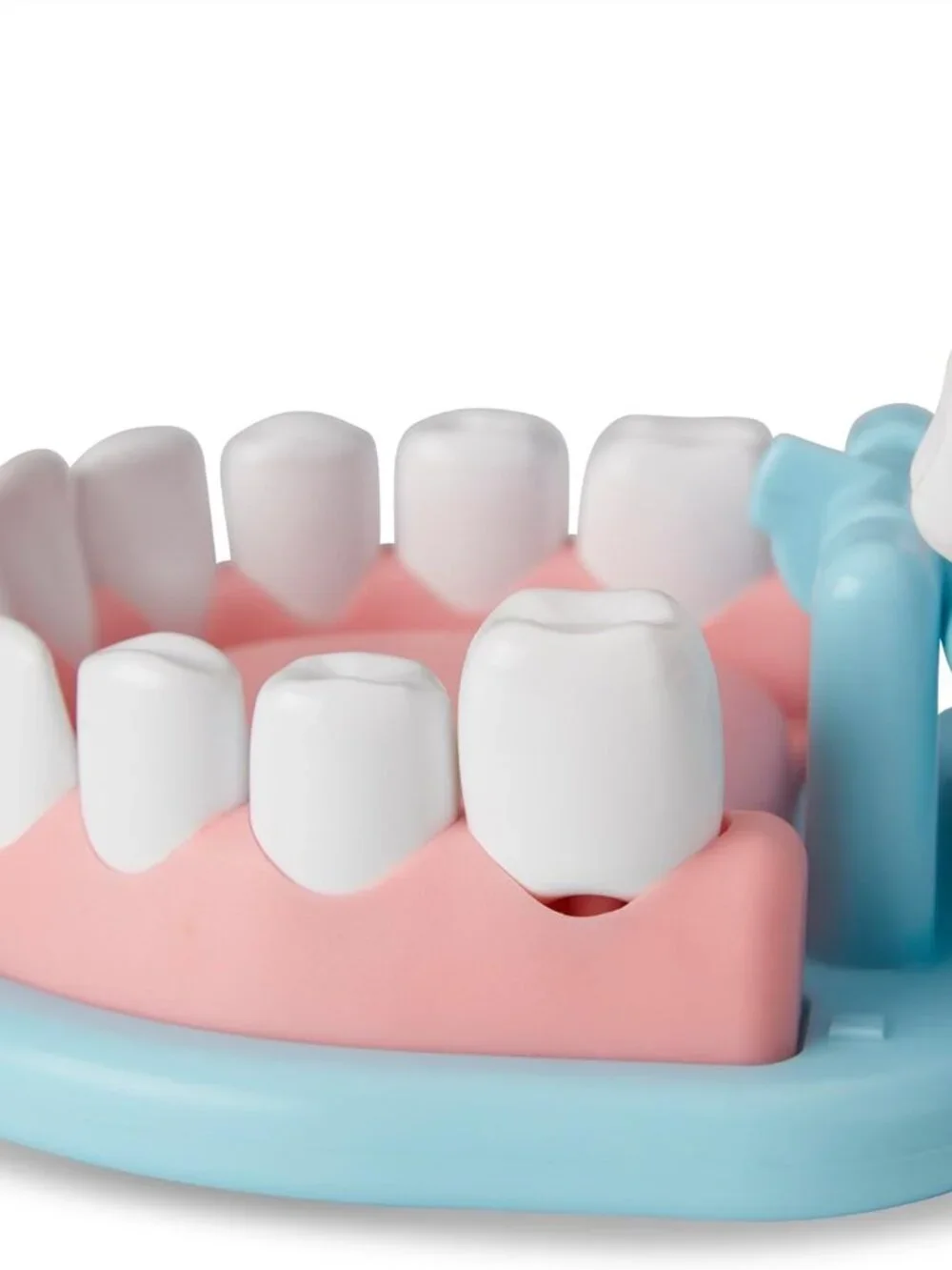 NEW Melissa & Doug Dentist Dental Pretend Play Teeth Set 25-piece Includes set o